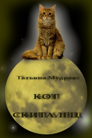 Кот-Скиталец (СИ) читать онлайн