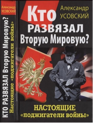 Кто развязал Вторую Мировую? Настоящие «поджигатели войны» читать онлайн