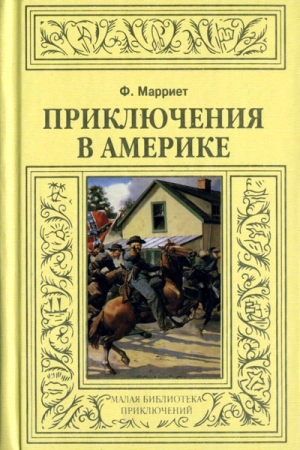 Приключения в Америке читать онлайн