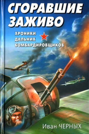 Сгоравшие заживо. Хроники дальних бомбардировщиков читать онлайн