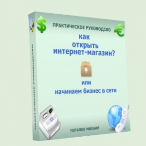 Как открыть интернет-магазин? или Начинаем бизнес в сети читать онлайн