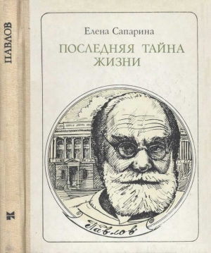 Последняя тайна жизни (Этюды о творчестве) читать онлайн