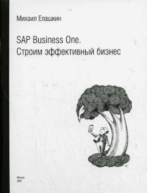 SAP Business One. Строим эффективный бизнес читать онлайн