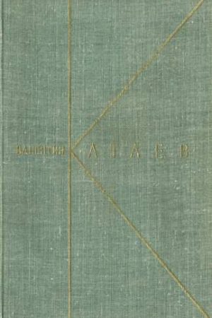 Том 8. Почти дневник. Воспоминания читать онлайн