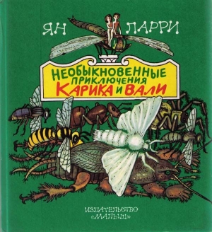 Необыкновенные приключения Карика и Вали читать онлайн