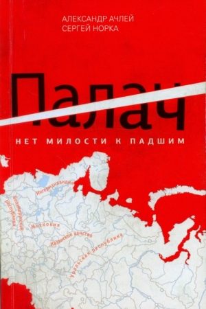 Палач. Нет милости к падшим читать онлайн