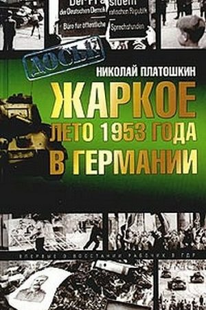 Жаркое лето 1953 года в Германии читать онлайн