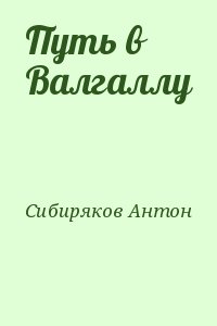 Путь в Валгаллу читать онлайн