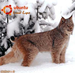 Руководство по переходу на Ubuntu 10.04 LTS «Lucid Lynx» читать онлайн