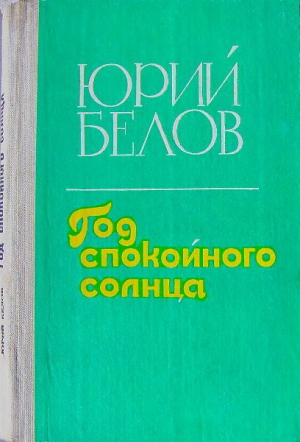 Год спокойного солнца читать онлайн