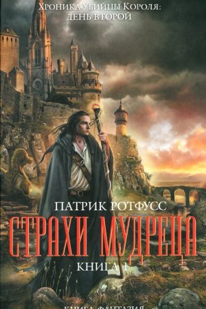 Страхи мудреца. Книга 1 читать онлайн