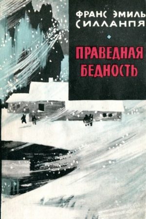 Праведная бедность: Полная биография одного финна читать онлайн