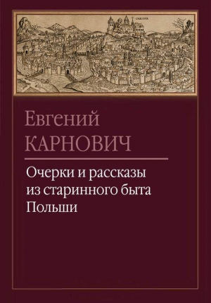 Очерки и рассказы из старинного быта Польши читать онлайн