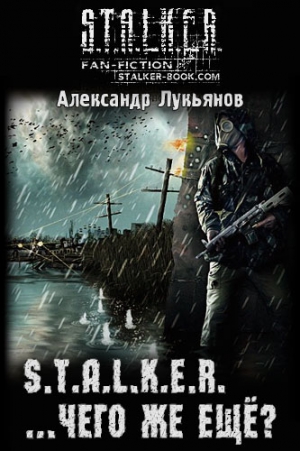 S.T.A.L.K.E.R. ...чего же ещё? читать онлайн