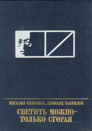 Светить можно - только сгорая читать онлайн