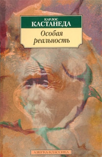 Особая реальность (перевод Останина и Пахомова) читать онлайн