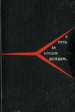 В путь за косым дождём читать онлайн