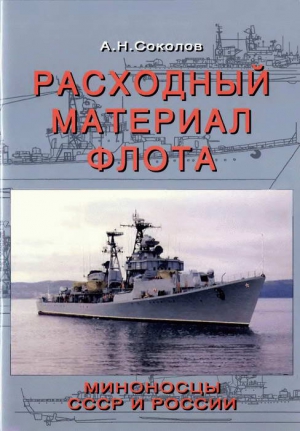 Расходный материал флота. Миноносцы СССР и России читать онлайн