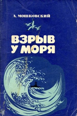 Взрыв у моря читать онлайн