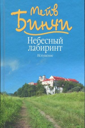 Небесный лабиринт. Искушение читать онлайн