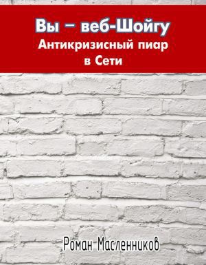 Вы – веб-Шойгу. Антикризисный пиар в Сети читать онлайн