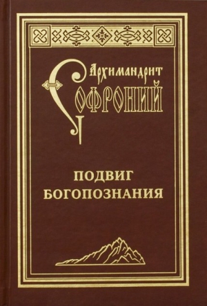 Подвиг богопознания. Письма с Афона (к Д. Бальфуру) читать онлайн