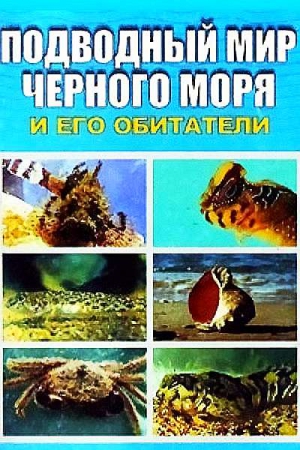 Подводный мир Черного моря читать онлайн