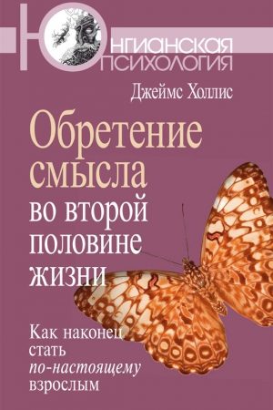 Обретение смысла во второй половине жизни. Как наконец стать по-настоящему взрослым читать онлайн