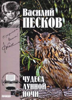 Полное собрание сочинений. Том 15. Чудеса лунной ночи читать онлайн