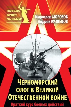 Черноморский флот в Великой Отечественной войне. Краткий курс боевых действий читать онлайн