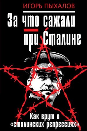 За что сажали при Сталине. Как врут о «сталинских репрессиях» читать онлайн