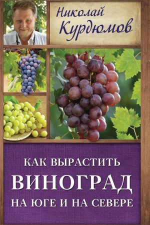 Мой сад. Максимальный урожай легко и просто читать онлайн