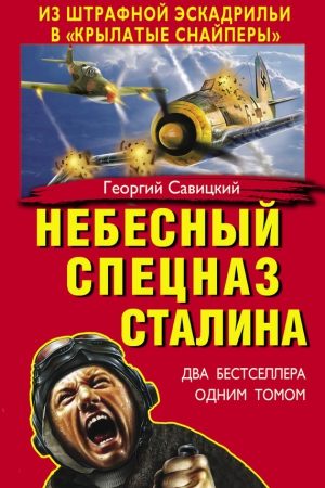 Небесный спецназ Сталина. Из штрафной эскадрильи в «крылатые снайперы» (сборник) читать онлайн