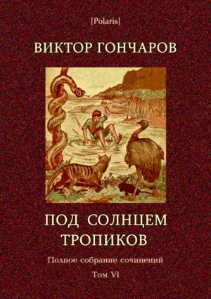 Под солнцем тропиков. День Ромэна читать онлайн