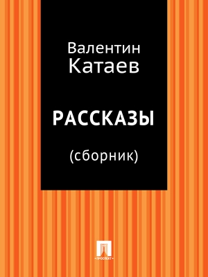 Рассказы читать онлайн