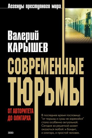 Современные тюрьмы. От авторитета до олигарха читать онлайн