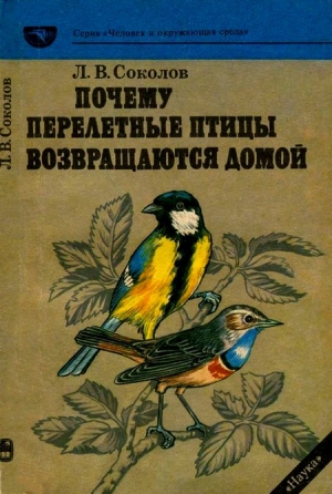 Почему перелетные птицы возвращаются домой читать онлайн