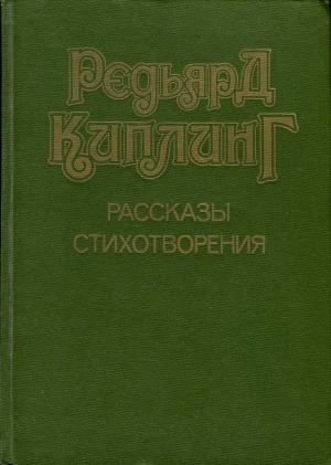 Рассказы. Стихотворения. читать онлайн