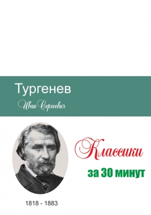 Тургенев за 30 минут читать онлайн