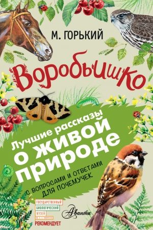 Воробьишко. Рассказы с вопросами и ответами для почемучек читать онлайн