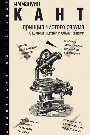 Принцип чистого разума. С комментариями и объяснениями читать онлайн