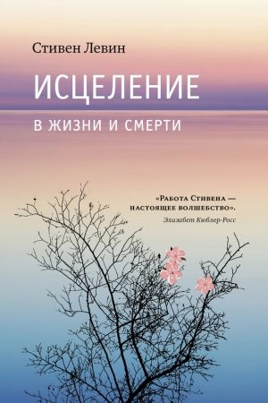 Исцеление в жизни и смерти читать онлайн