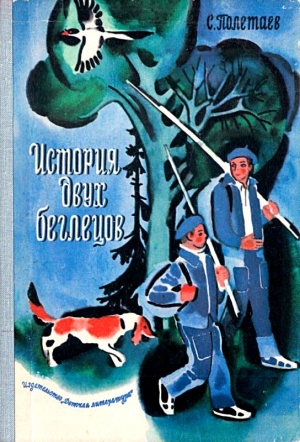 История двух беглецов. Повесть читать онлайн