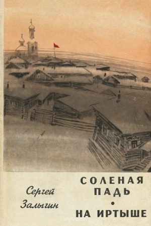 Соленая Падь. На Иртыше читать онлайн