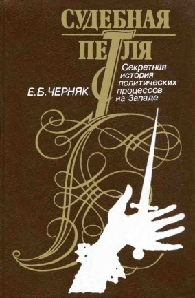 Судебная петля: Секретная история политических процессов на Западе читать онлайн