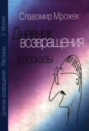 Дневник возвращения. Рассказы читать онлайн