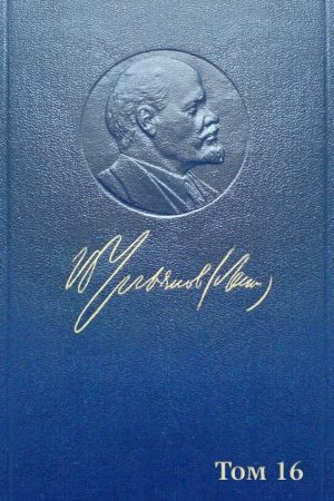 Полное собрание сочинений. Том 16. Июнь 1907 — март 1908 читать онлайн