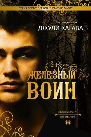 Железный воин (ЛП) читать онлайн