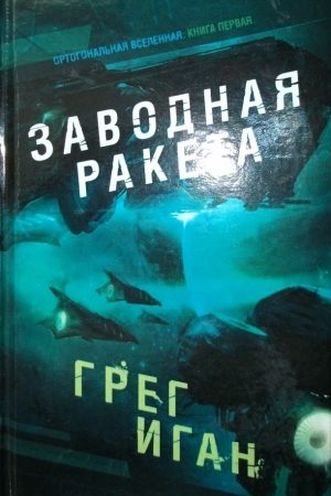 Заводная ракета читать онлайн