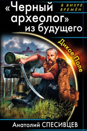 «Черный археолог» из будущего. Дикое Поле читать онлайн